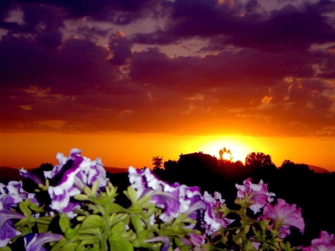 Viole Country Hotel Assisi Esterno foto
